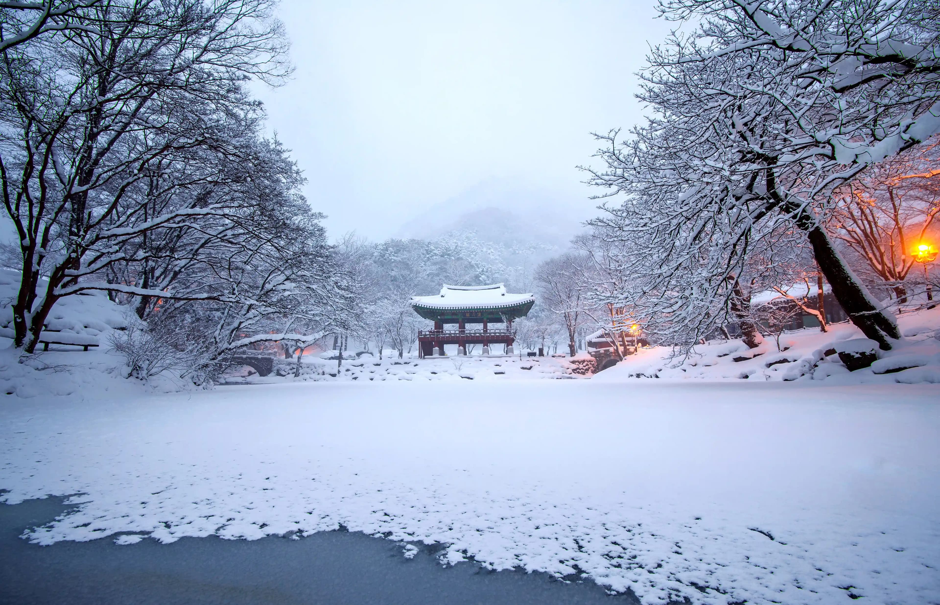 Winter in Japan